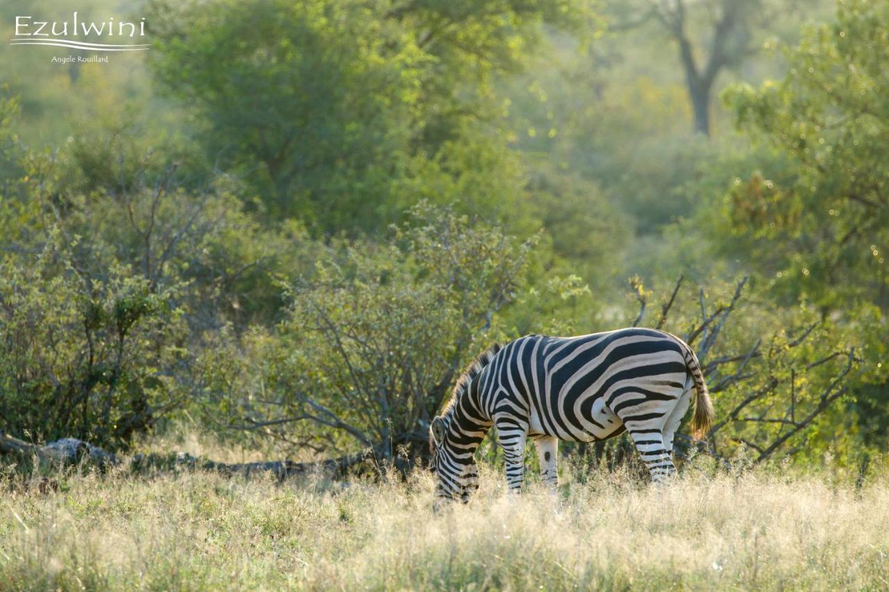 Ezulwini Game Lodges Mica Exterior photo