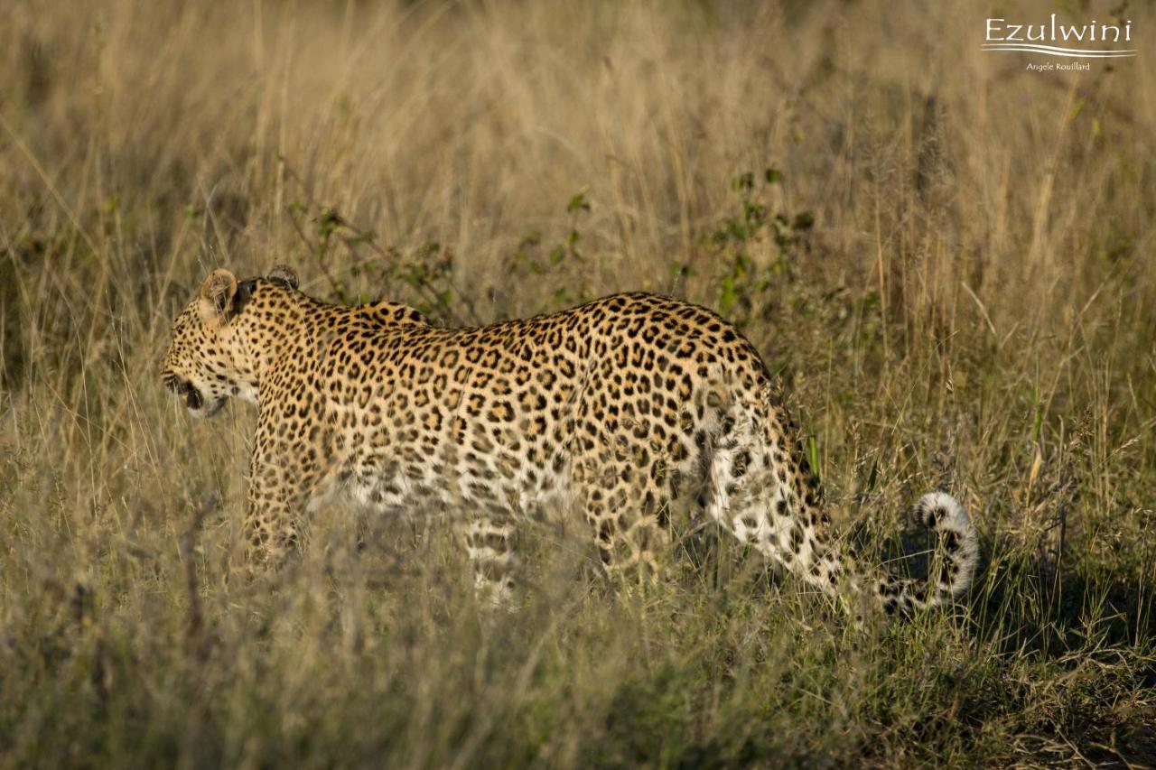 Ezulwini Game Lodges Mica Exterior photo